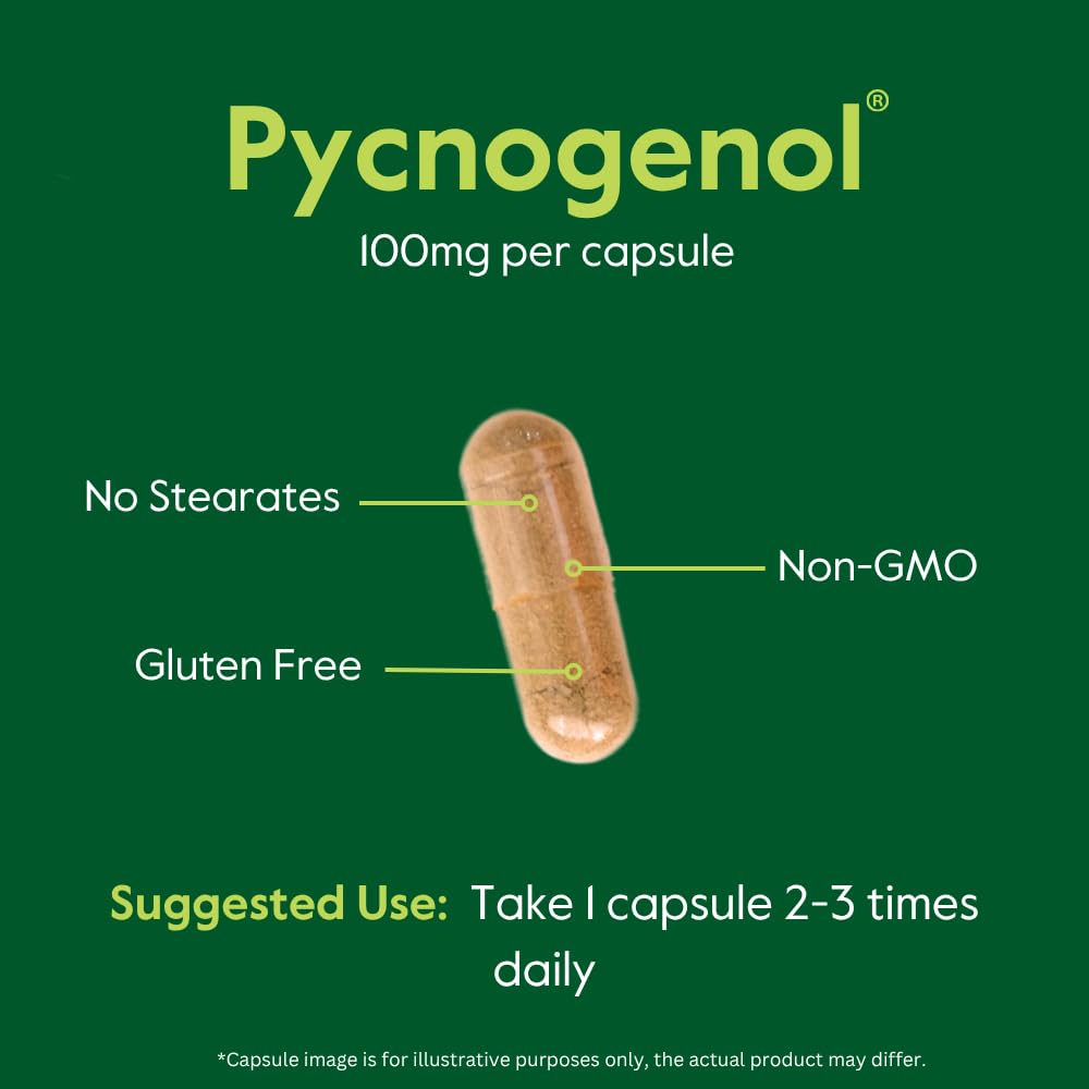 BESTVITE Pycnogenol 100mg capsules à côté d'un verre d'eau