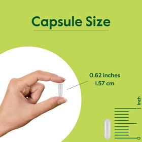 BESTVITE Relora 250mg avec ingrédients naturels