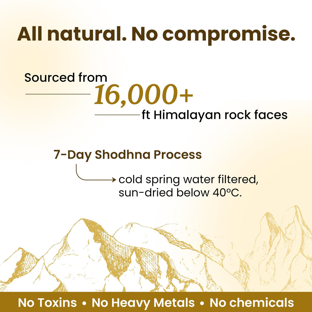 Better Alt Shilajit Gold + Cordyceps 600mg avec Ashwagandha