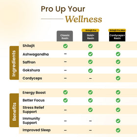 Better Alt Shilajit Gold + Cordyceps 600mg sur fond neutre