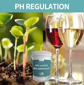 Bicarbonate de Potassium Hznxolrc sur une table de cuisine