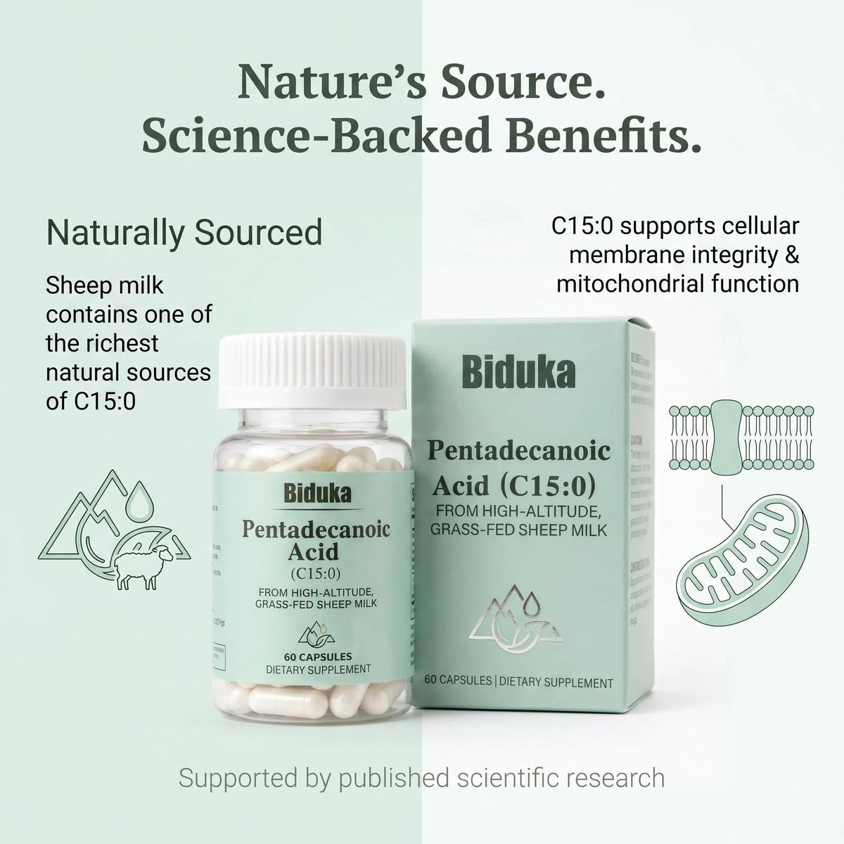 Biduka Acide Pentadécanoïque capsule à côté d'un verre d'eau