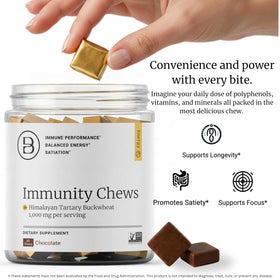 BIG BOLD HEALTH HTB Chews Chocolat, chews au chocolat sur une assiette