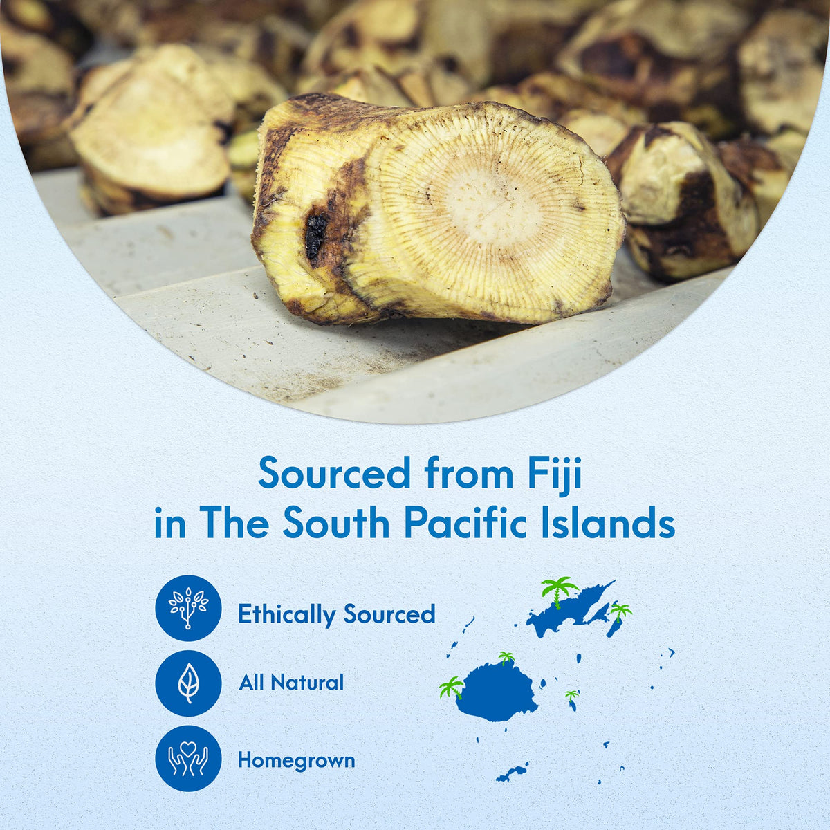 BILOVINAKA Mélange de Kava - Poudre dans un bol