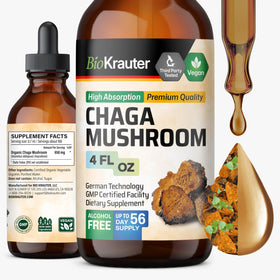 BIO KRAUTER Champignon Chaga 120 ml flacon avant