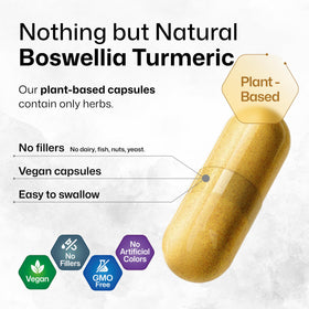 BIO KRAUTER Complément Curcuma et Boswellia en boîte