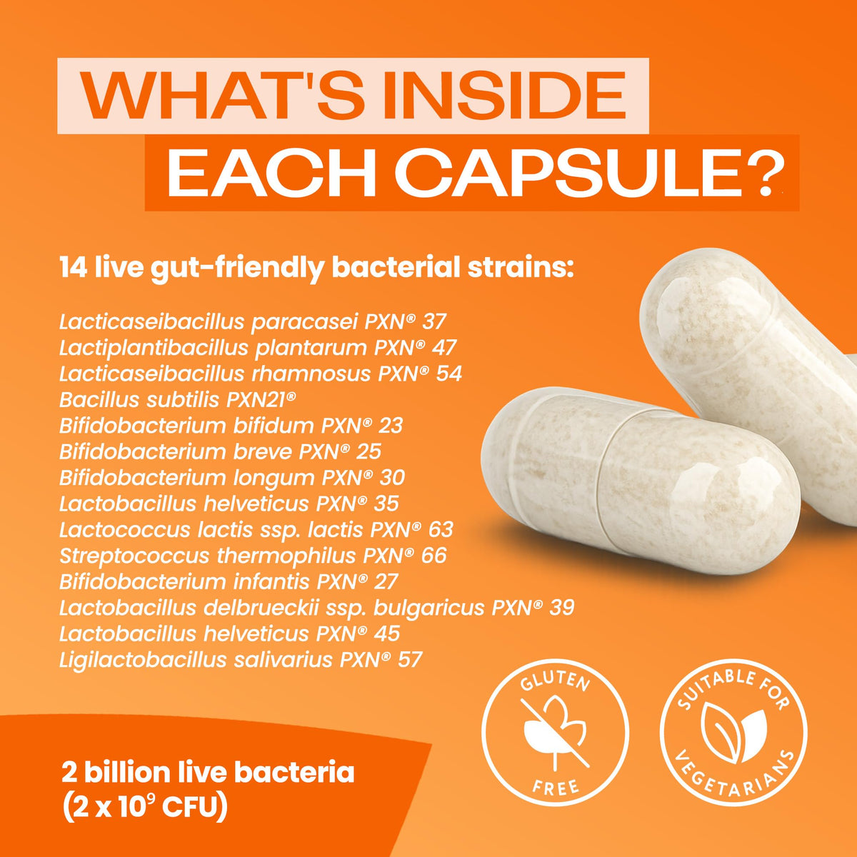 Bio-Kult Everyday Probiotiques 120 capsules ouvertes avec contenu