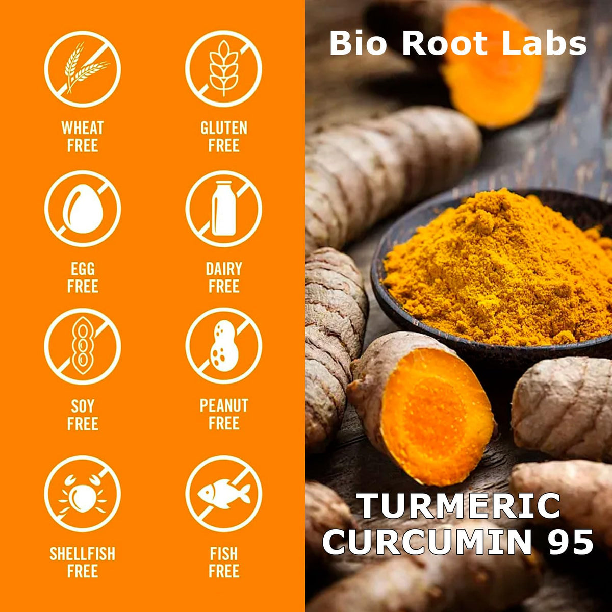 Bio Root Labs Curcuma 95% Curcumine capsule avec étiquette