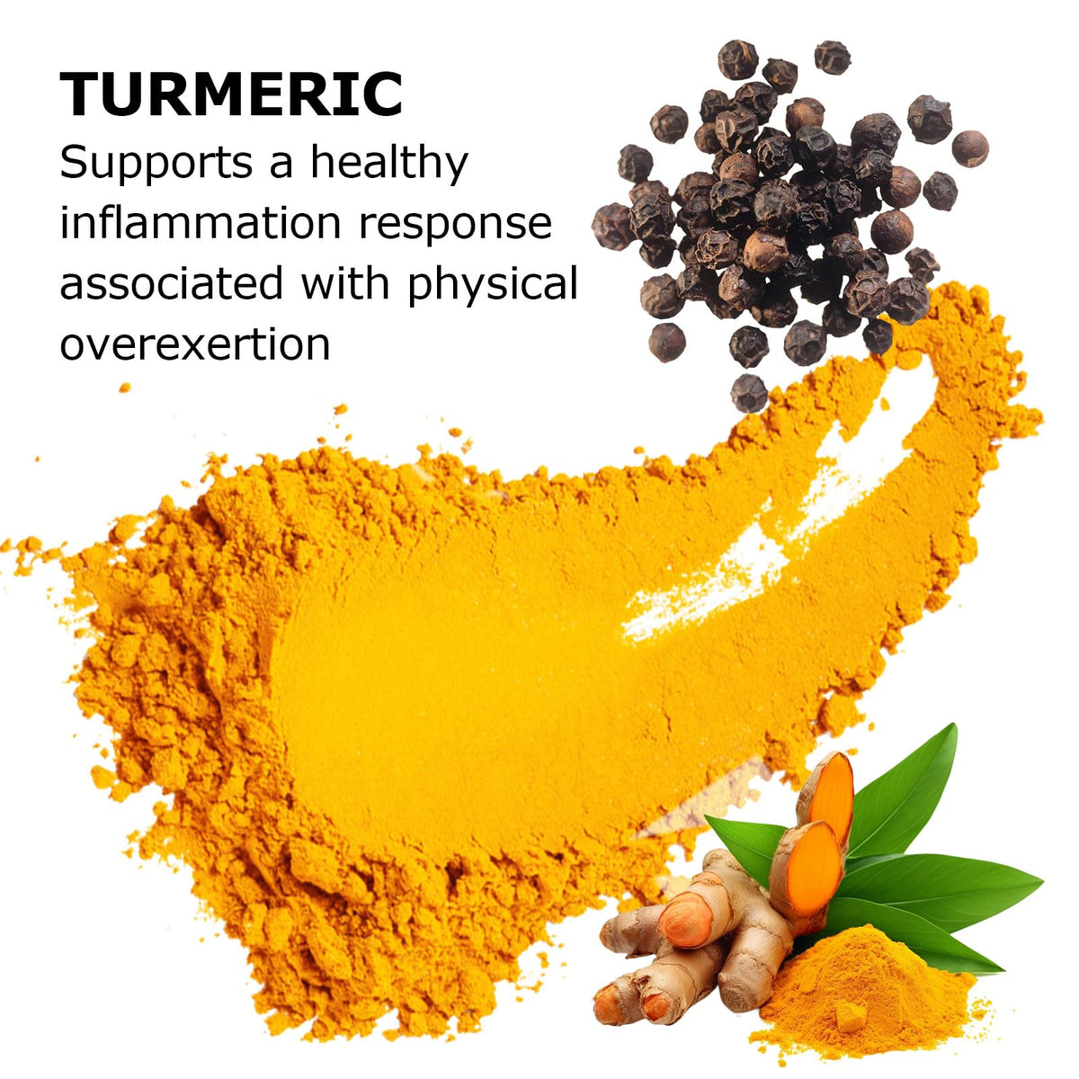 Bio Root Labs Curcuma 95% Curcumine capsule avec ingrédients