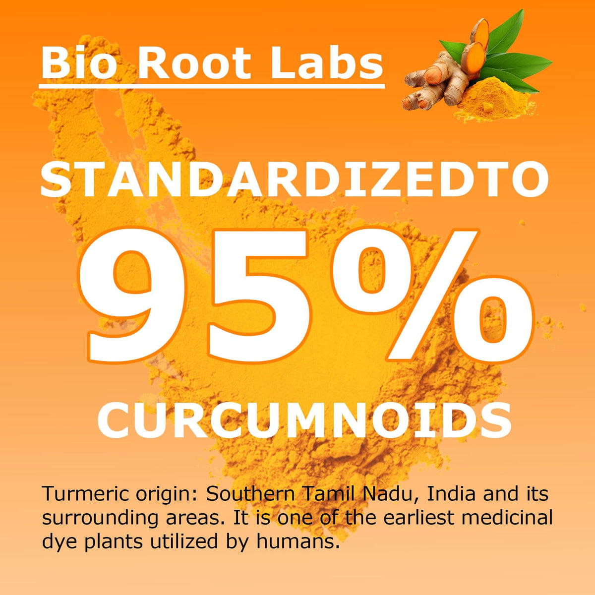 Bio Root Labs Curcuma 95% Curcumine capsules ouvertes sur une table