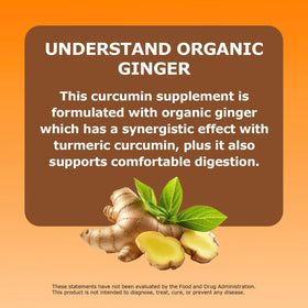 Bio Root Labs Curcuma 95% Curcumine vue de côté