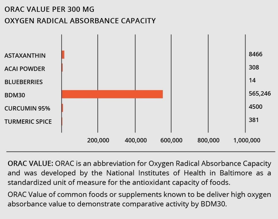 BIOBDMC NovoCurcumin étiquette avec informations nutritionnelles