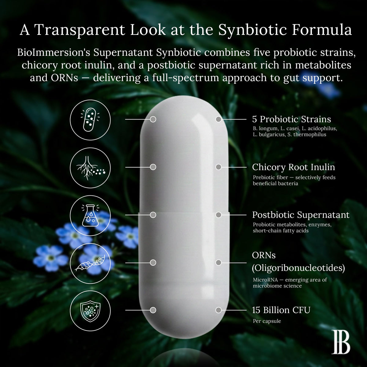 BioImmersion Supernatant Synbiotic, présentation des capsules