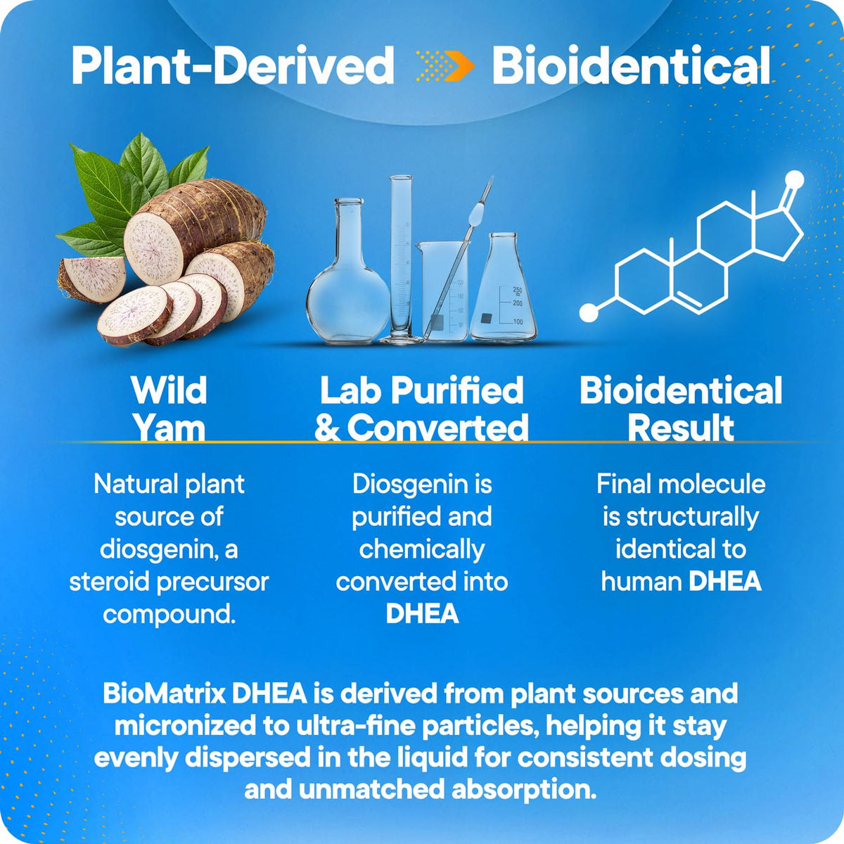 BioMatrix DHEA Liquide 30 ml avec ingrédients sur étiquette