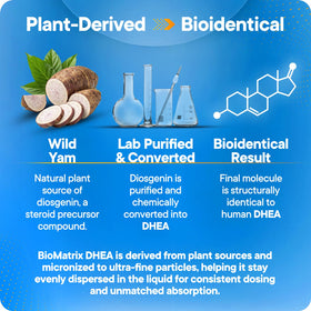BioMatrix DHEA Liquide 30 ml avec ingrédients sur étiquette