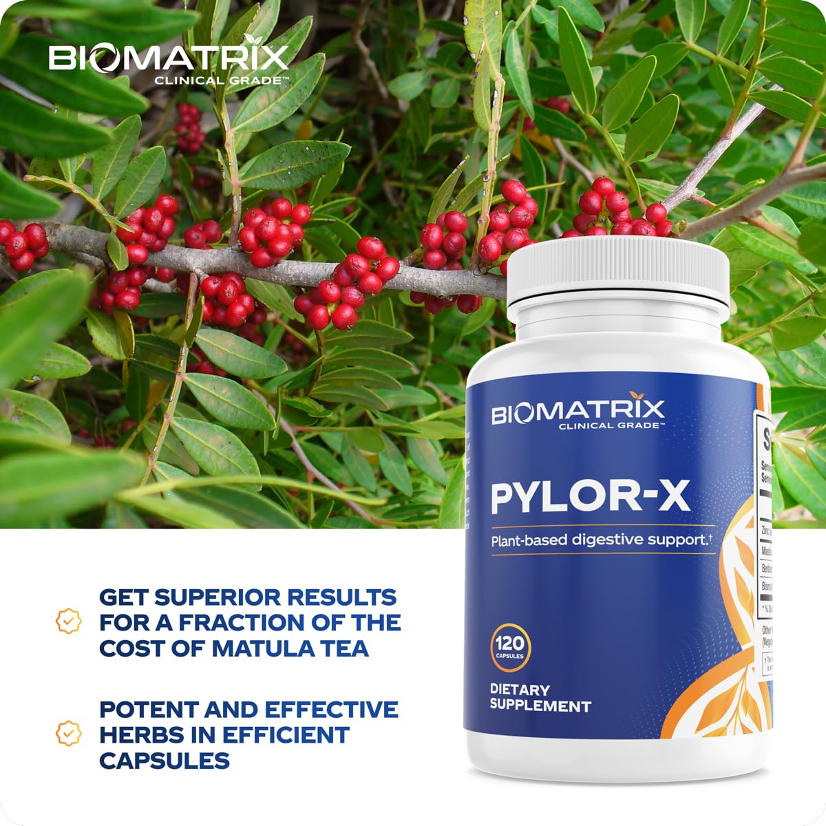 BioMatrix Pylor-X complément alimentaire 120 capsules avec ingrédients