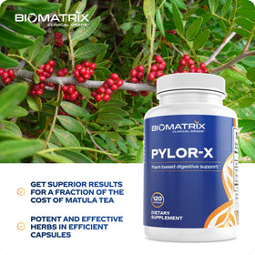 BioMatrix Pylor-X complément alimentaire 120 capsules avec ingrédients