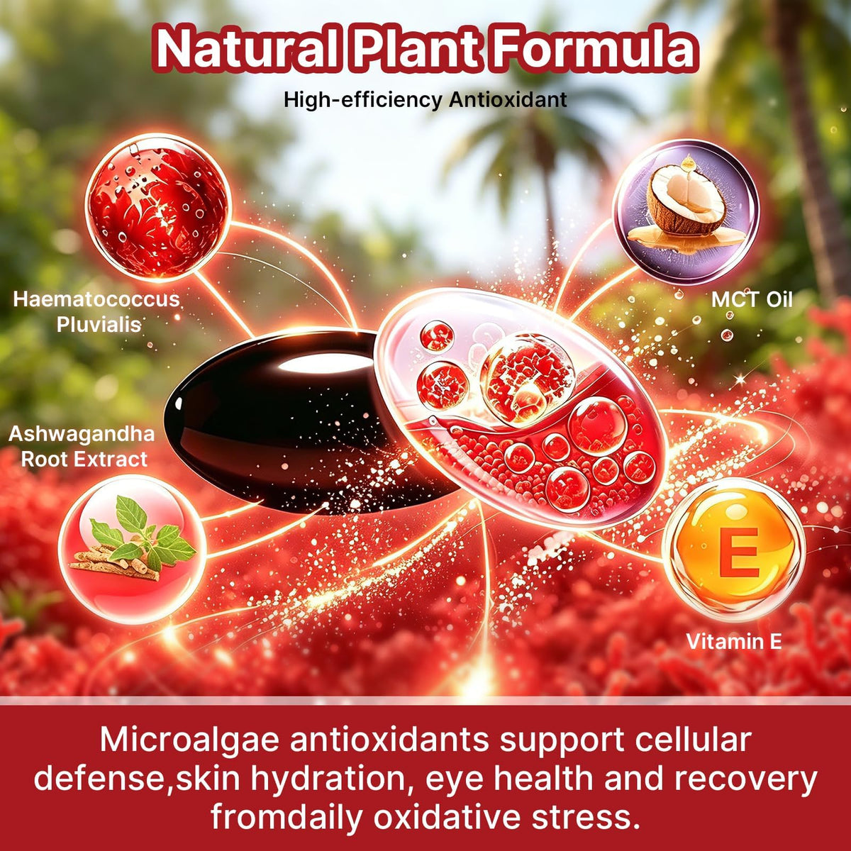 Biookultra Astaxanthin 24mg gélules, affichage des gélules sur une table