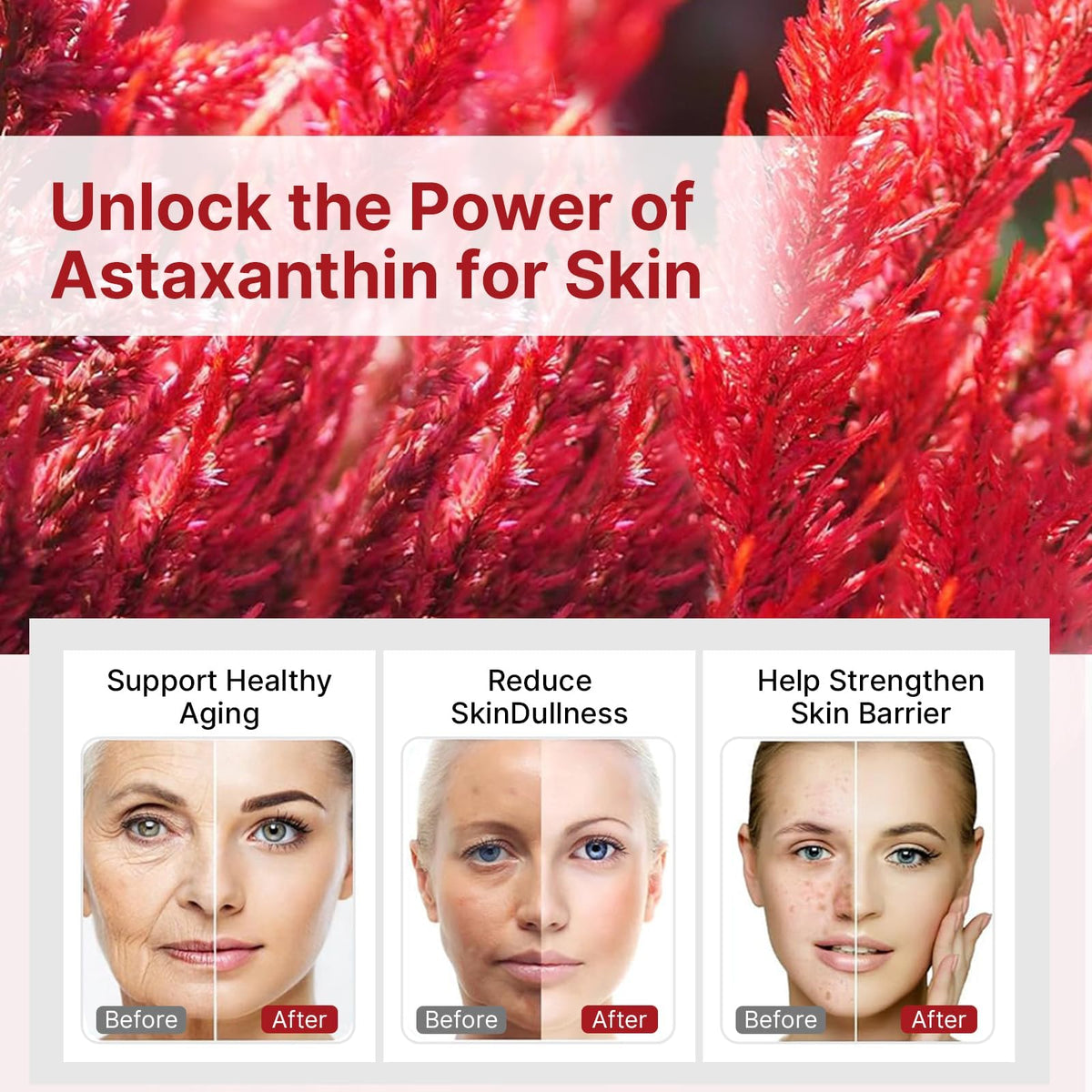 Biookultra Astaxanthin 24mg gélules, gros plan sur une gélule