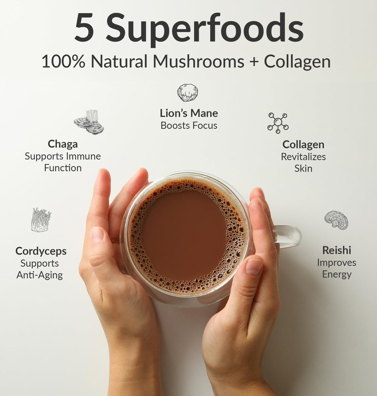 BIOptimizers Alternative au Café aux Champignons - détail des ingrédients