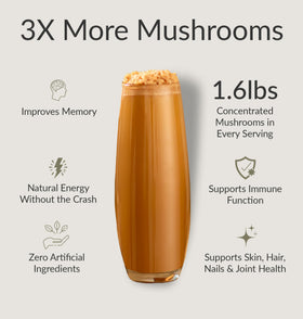 BIOptimizers café aux champignons caramel salé ingrédients sur l'emballage