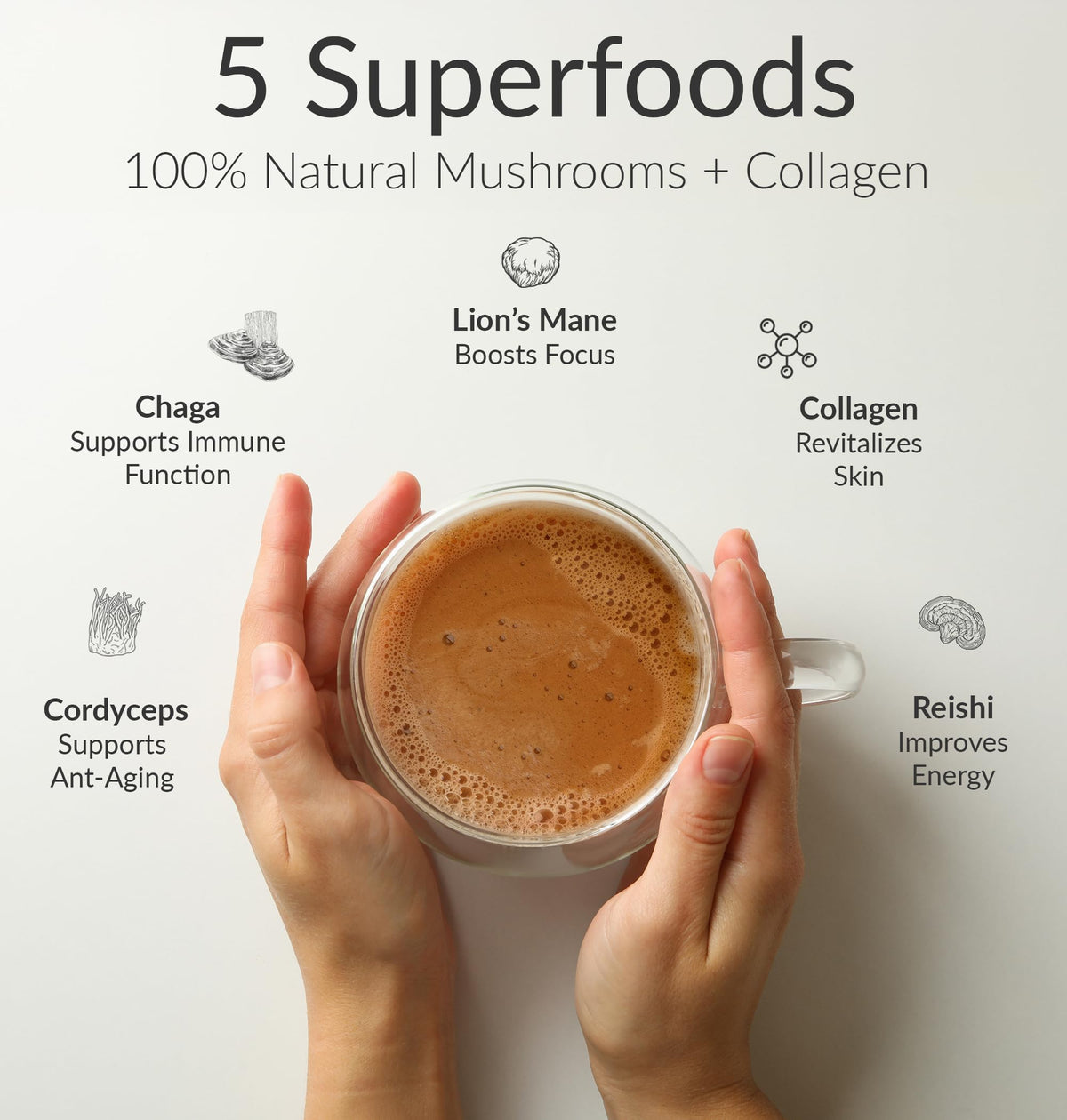 BIOptimizers café aux champignons en préparation dans une tasse