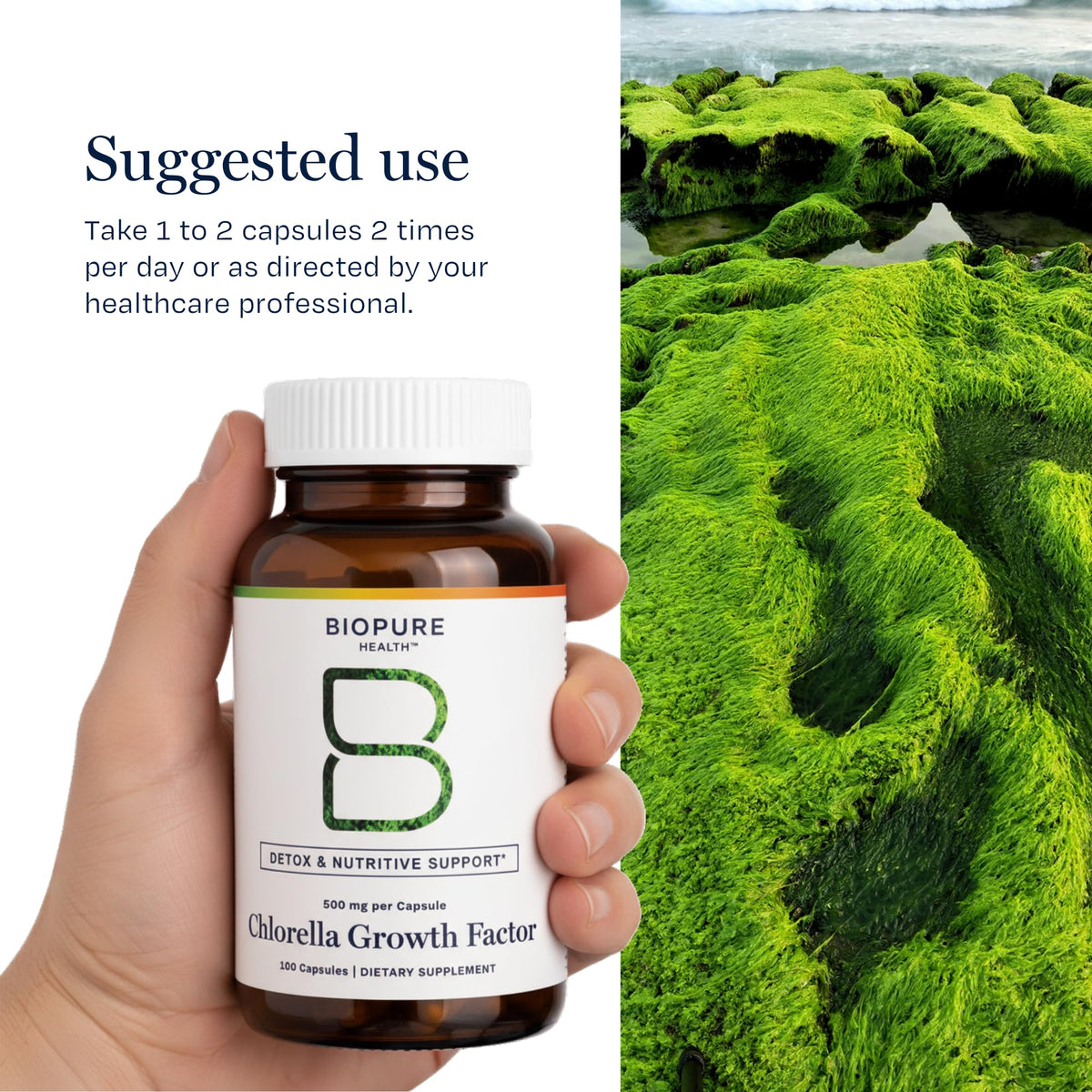 BioPure Chlorella Growth Factor 100g en vue de face