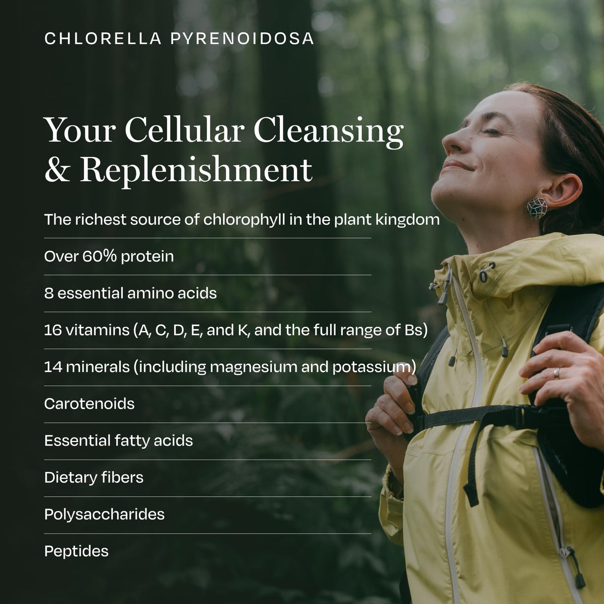 BioPure Chlorella Pyrenoidosa 400 comprimés - détail des comprimés