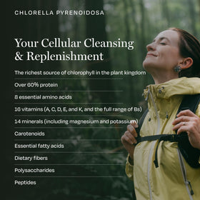 BioPure Chlorella Pyrenoidosa 400 comprimés - détail des comprimés