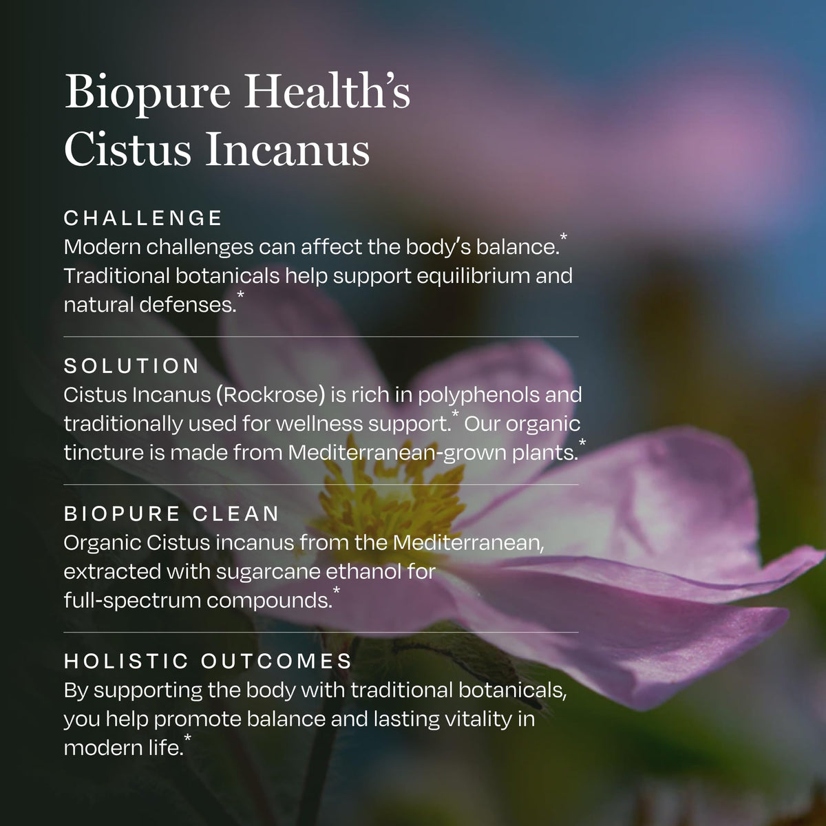 BioPure Cistus Incanus flacon ouvert avec capsules