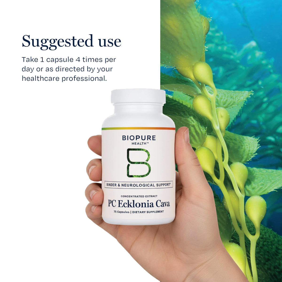 BioPure PC Ecklonia Cava avec fruits et légumes frais