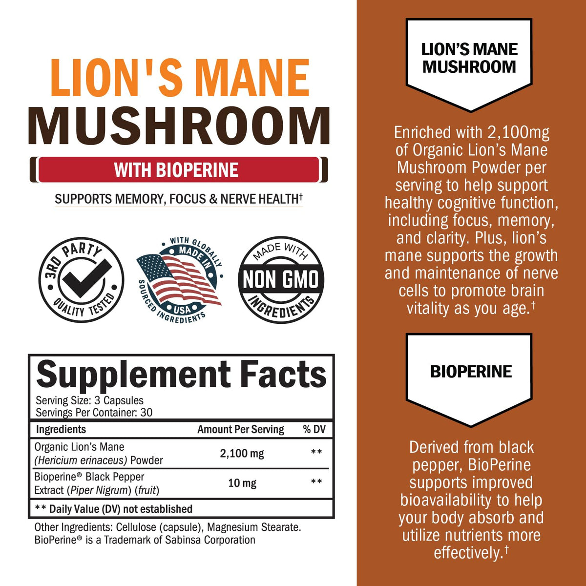 BioSchwartz Complément Alimentaire Champignon Lion's Mane 2100mg, vue arrière