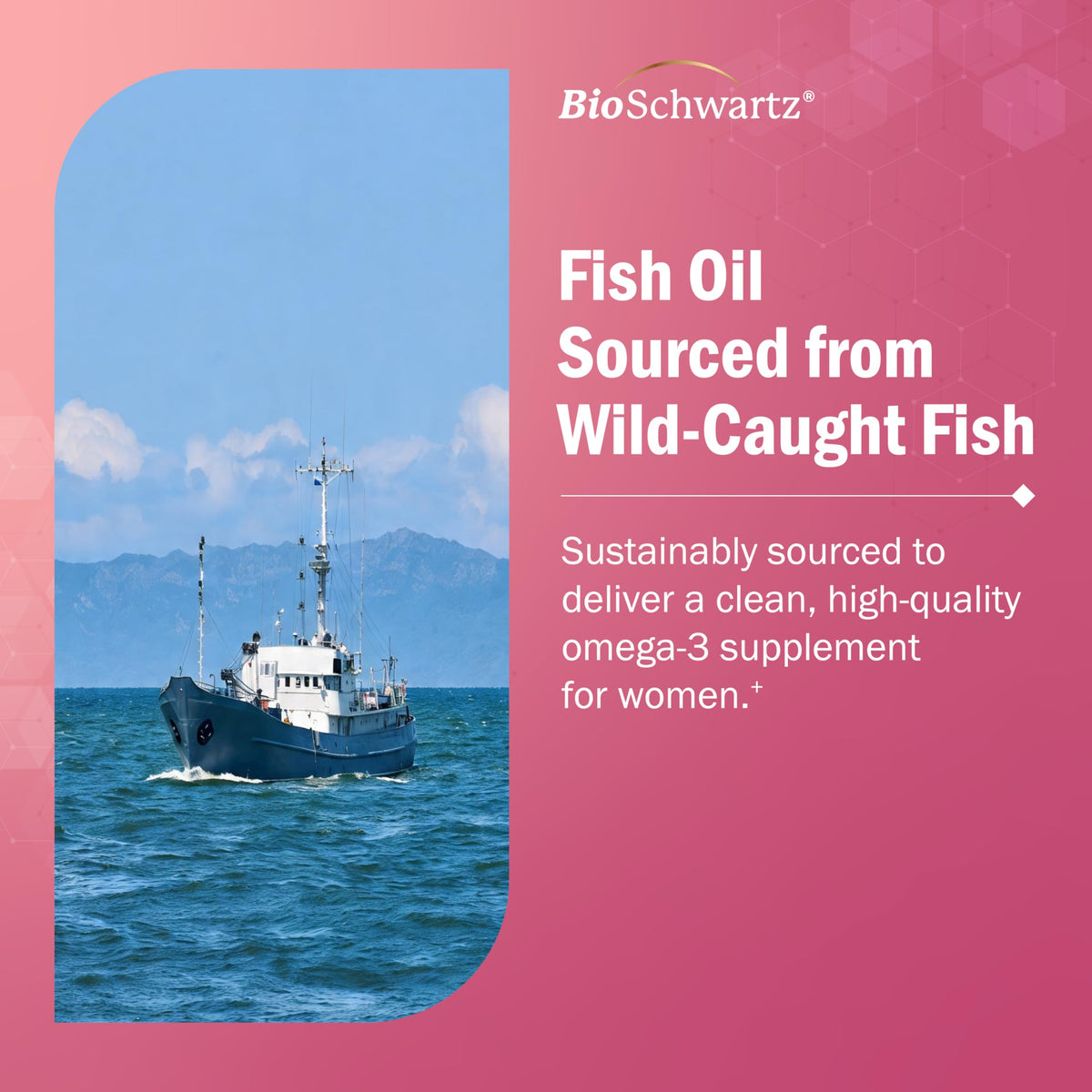 BioSchwartz Complément Alimentaire Omega 3 120 gélules avec boîte