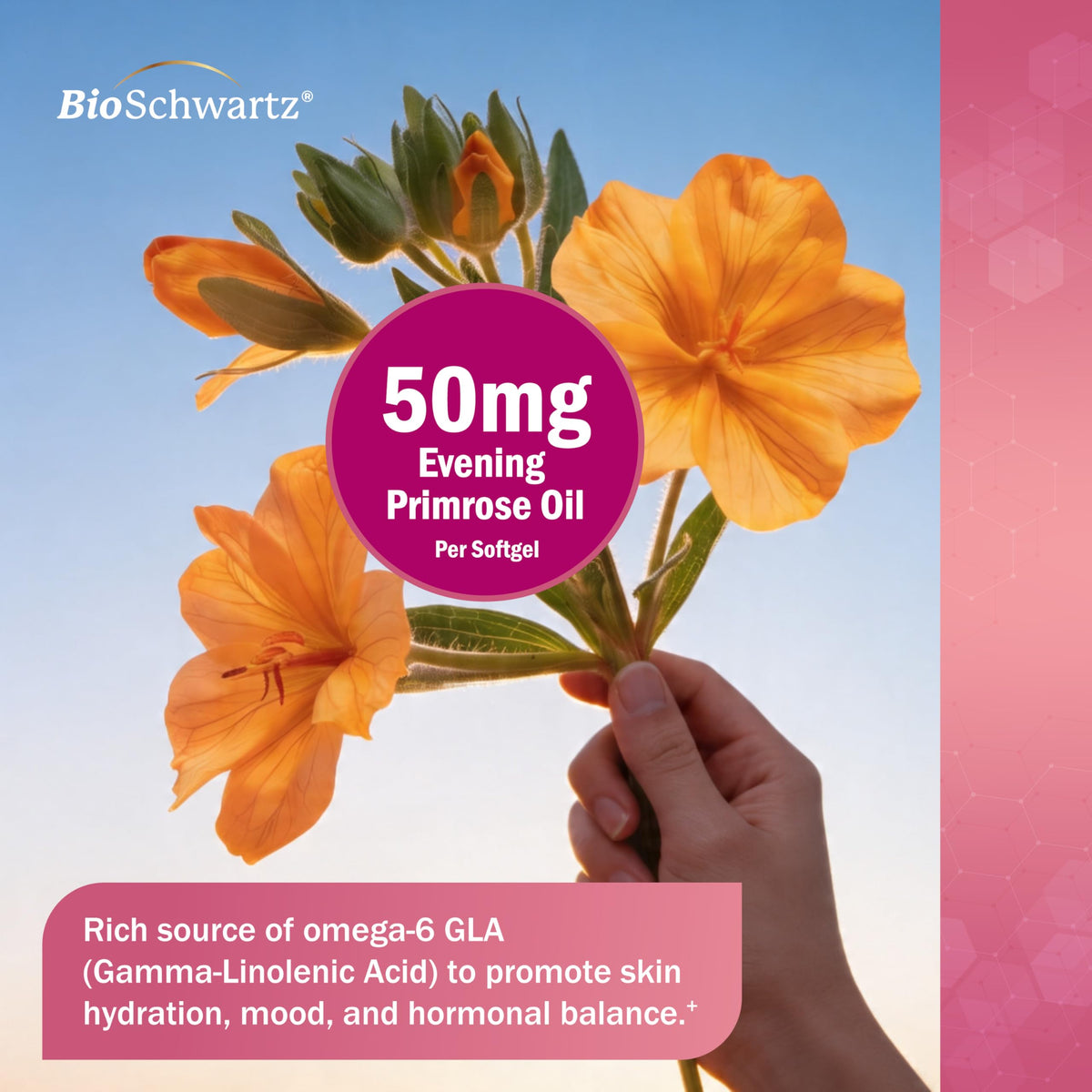 BioSchwartz Complément Alimentaire Omega 3 120 gélules en gros plan