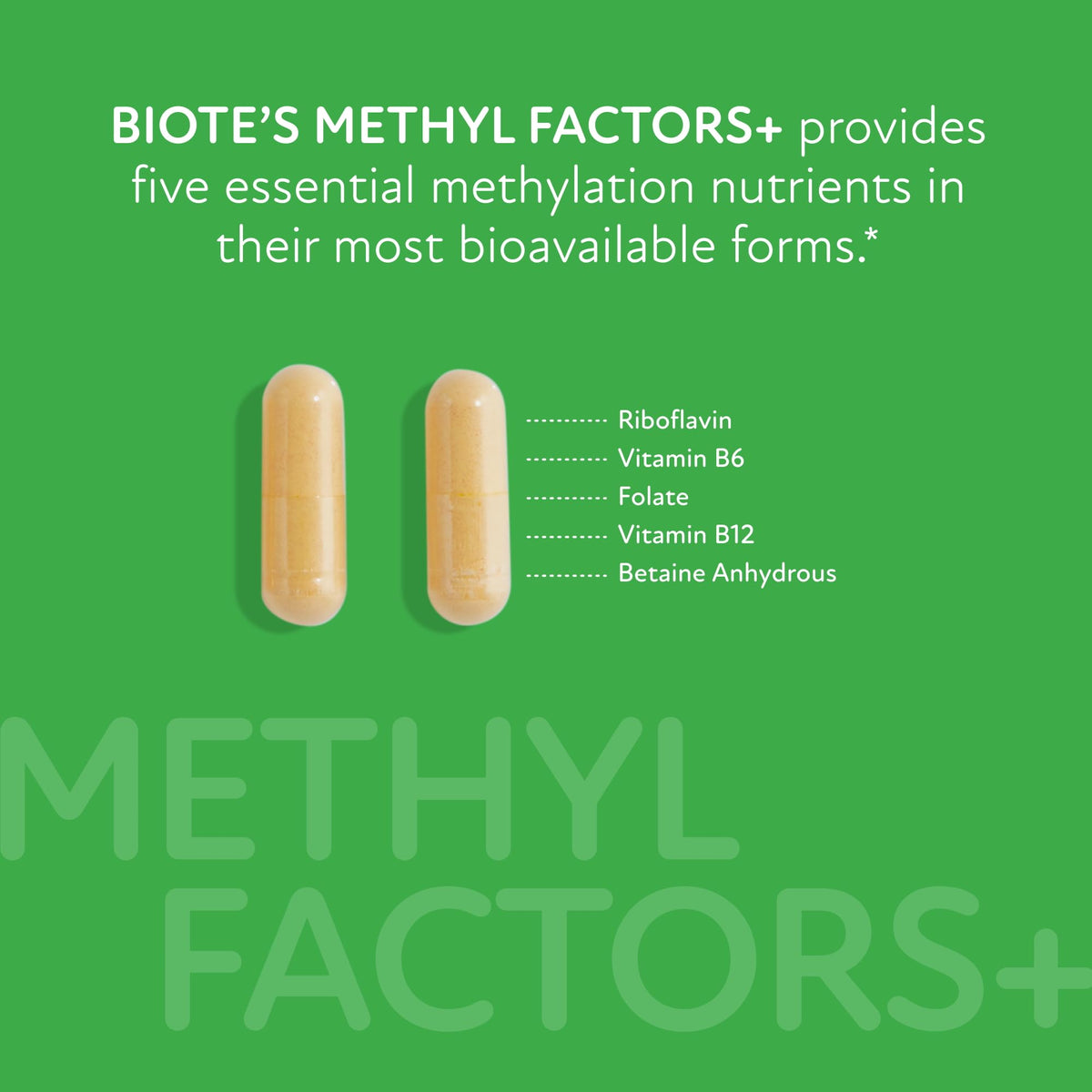 Biote Methyl Factors+ capsules montrant la taille et la forme