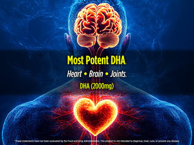 Biotest Flameout 5X DHA Huile de Poisson 4200mg vue arrière