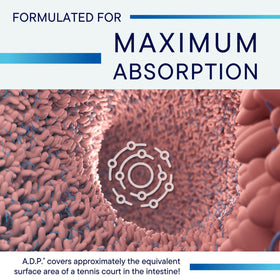 BIOTICS RESEARCH A.D.P. Huile d'Origan Émulsifiée 50mg étiquette