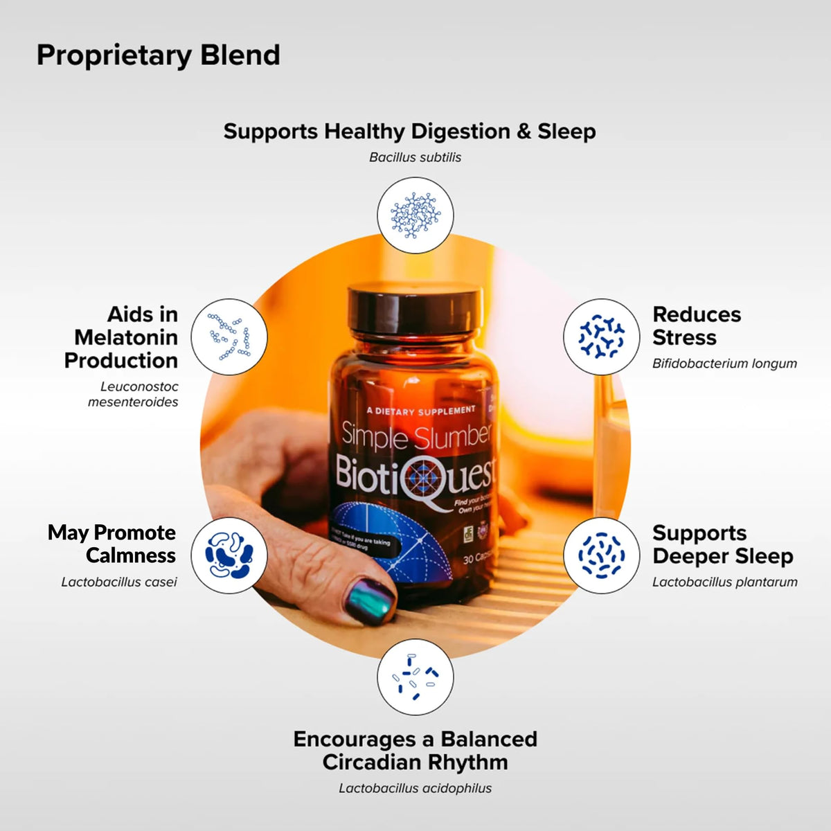 BiotiQuest Simple Slumber Probiotiques en gros plan