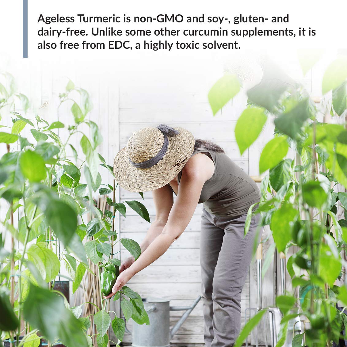 BioTrust Curcuma avec Gingembre - flacon ouvert avec gélules