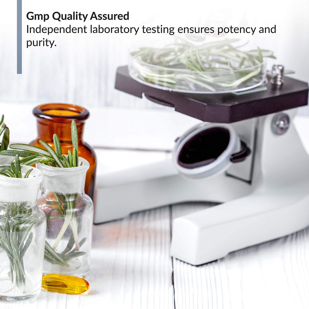 BioTrust OmegaKrill gélules sur une table en bois