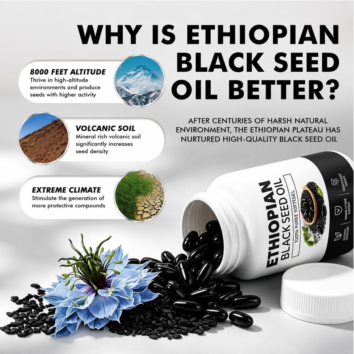 Biovitic huile de graines noires éthiopiennes avec dosette de capsules