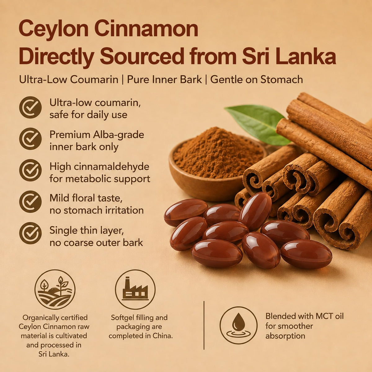 BKKTfBWK complément de cannelle de Ceylan 12000mg, vue des ingrédients