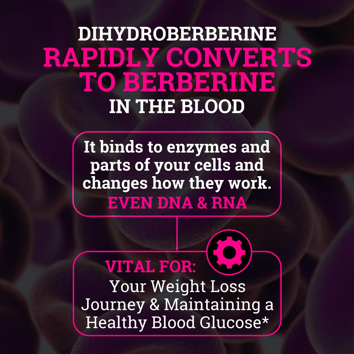 Black Forest Complément 5X Berbérine avec informations nutritionnelles