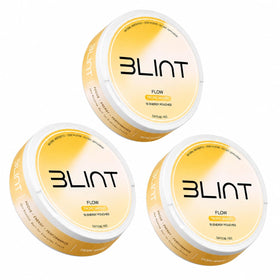 BLINT Flow Poches Nootropiques 150g Saveur Mangue vue avant