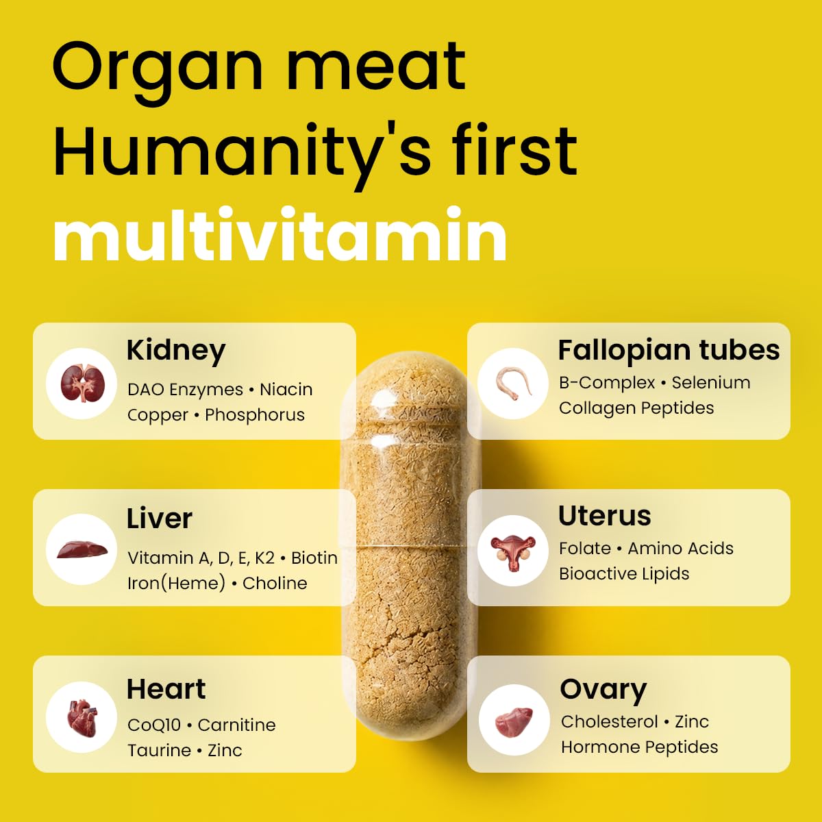 Bloomeo Complément Alimentaire Femmes, gélules de foie de bœuf avec étiquette