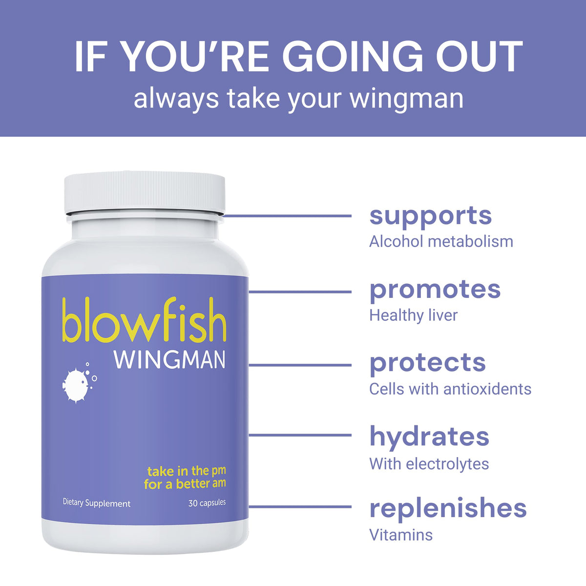 Blowfish Wingman sur fond blanc avec écorce de saule
