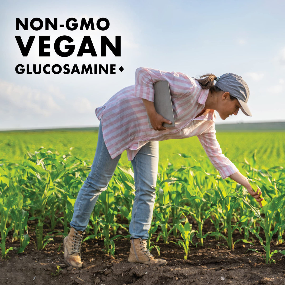 BlueBonnet Glucosamine Végétal + MSM capsules végétales