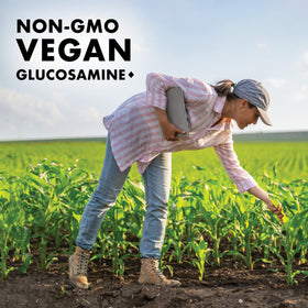 BlueBonnet Glucosamine Végétal + MSM capsules végétales