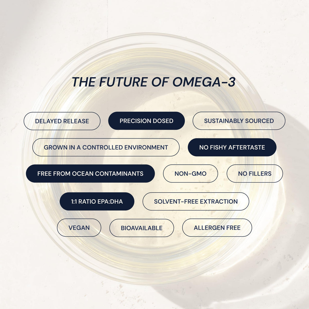 Blueprint Bryan Johnson Omega-3 Végétalien 800mg EPA/DHA avec étiquette