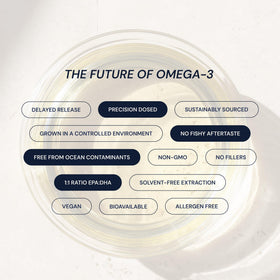 Blueprint Bryan Johnson Omega-3 Végétalien 800mg EPA/DHA avec étiquette